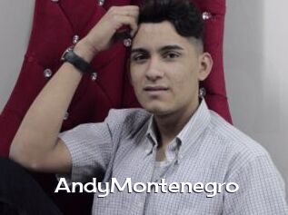 AndyMontenegro