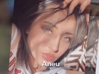 Aneu