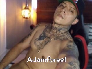 Adamforest