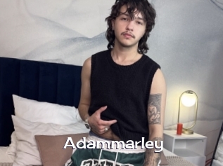 adammarley Click here to exit