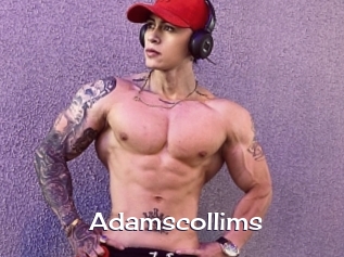Adamscollims