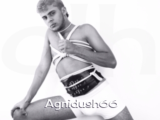 Agnidush66