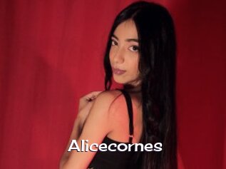 Alicecornes