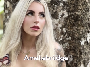Ameliebriidge