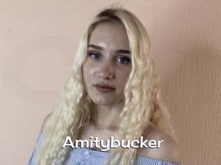 Amitybucker