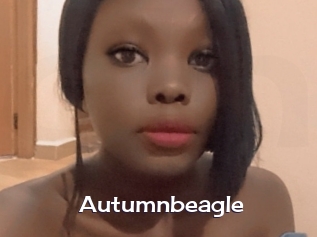 Autumnbeagle
