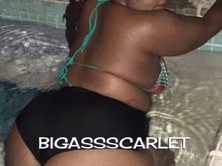 BIGASSSCARLET