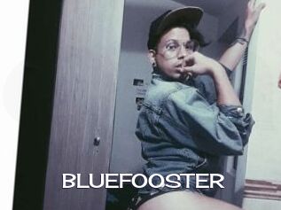 BLUEFOOSTER