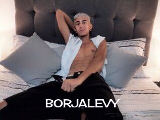 BORJALEVY