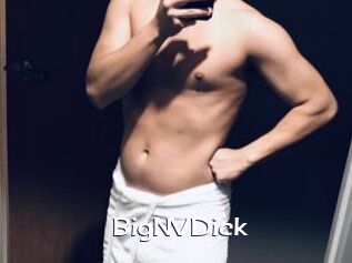 BigNVDick Click here to exit