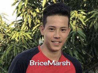 BriceMarsh