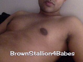 BrownStallion4Babes