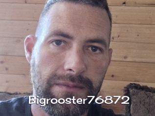 Bigrooster76872
