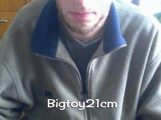 Bigtoy21cm