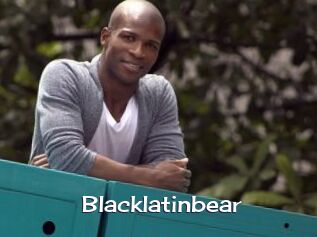 Blacklatinbear