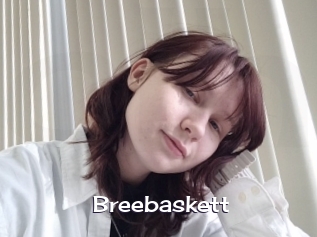Breebaskett