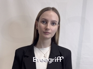 Breegriff