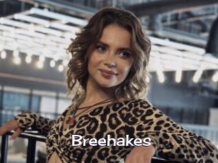 breehakes Click here to exit