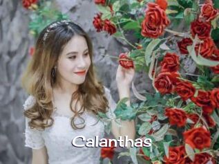 Calanthas