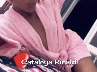 Cataleya_Rinaldi Click here to exit