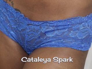 Cataleya_Spark
