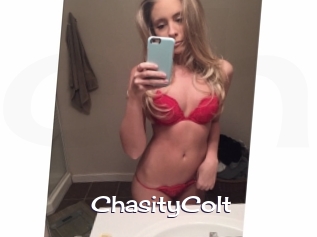 ChasityColt