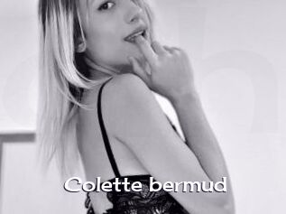 Colette_bermud