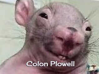 Colon_Plowell