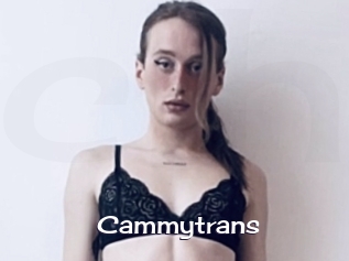 cammytrans Click here to exit