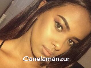 Canelamanzur