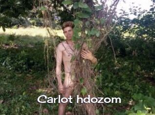 Carlot_hdozom