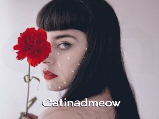 catinadmeow Click here to exit