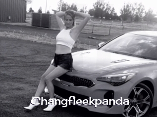 Changfleekpanda