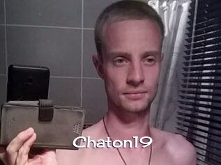 Chaton19