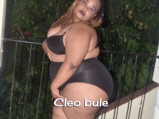 Cleo_bule