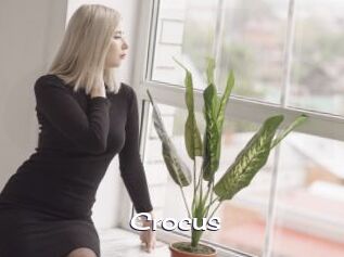 Crocus
