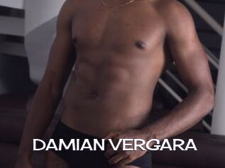DAMIAN_VERGARA