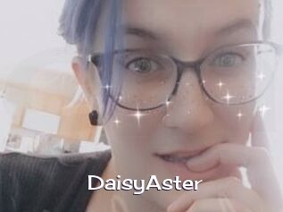 DaisyAster