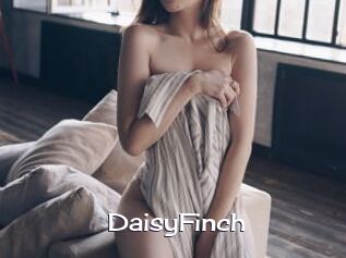 DaisyFinch