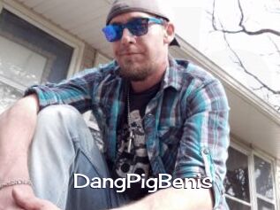 DangPigBenis