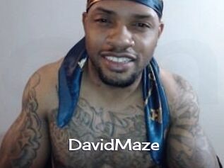 David_Maze