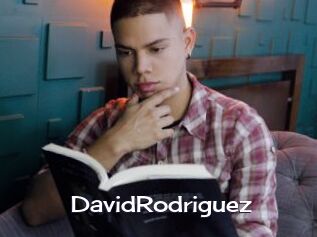 DavidRodriguez