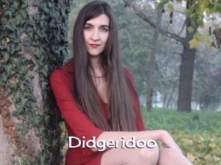 Didgeridoo