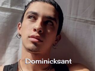 Dominicksant