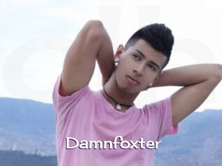 Damnfoxter