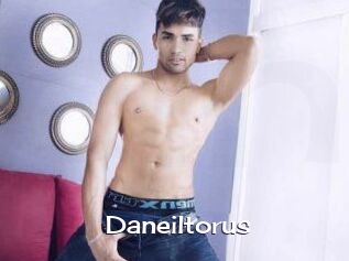 Daneil_torus