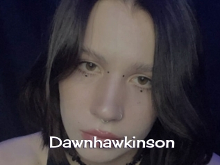 Dawnhawkinson