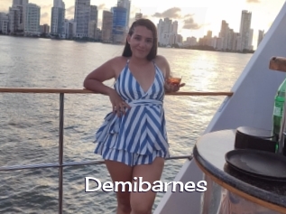 Demibarnes