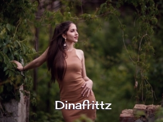 Dinafrittz