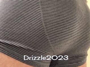 Drizzle2023